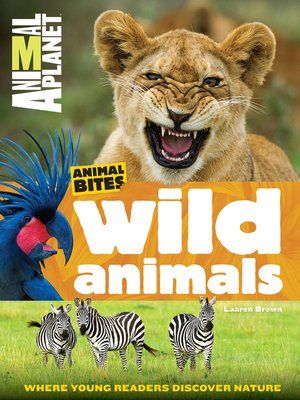 cover image of Wild Animals